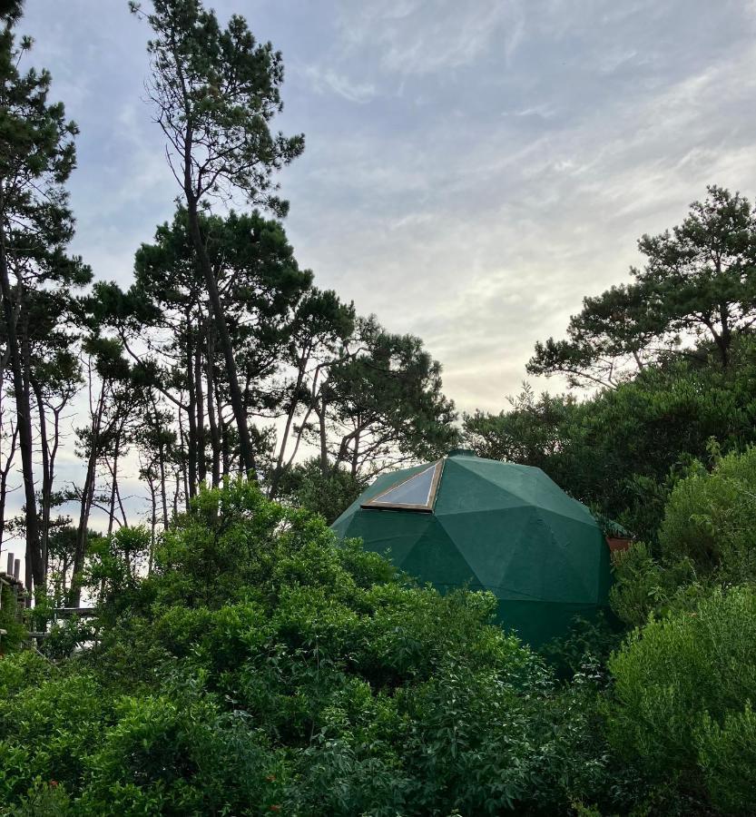 Hotel Domosdemar A 100 Mts Del Mar Ocean Park Zewnętrze zdjęcie