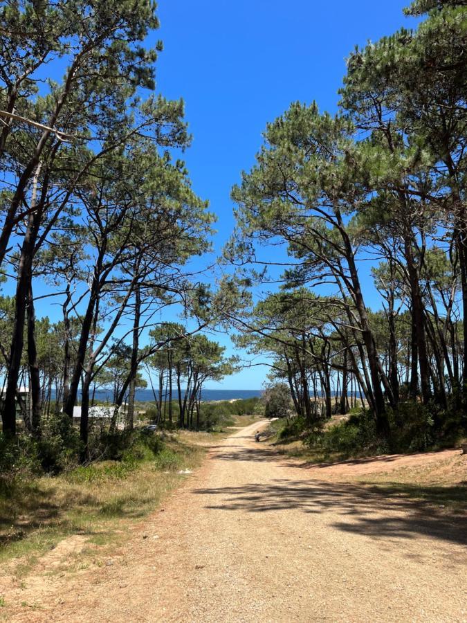 Hotel Domosdemar A 100 Mts Del Mar Ocean Park Zewnętrze zdjęcie